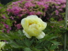 img0064.jpg