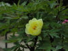 img0067.jpg