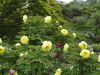 img0074.jpg