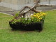 img0013.jpg