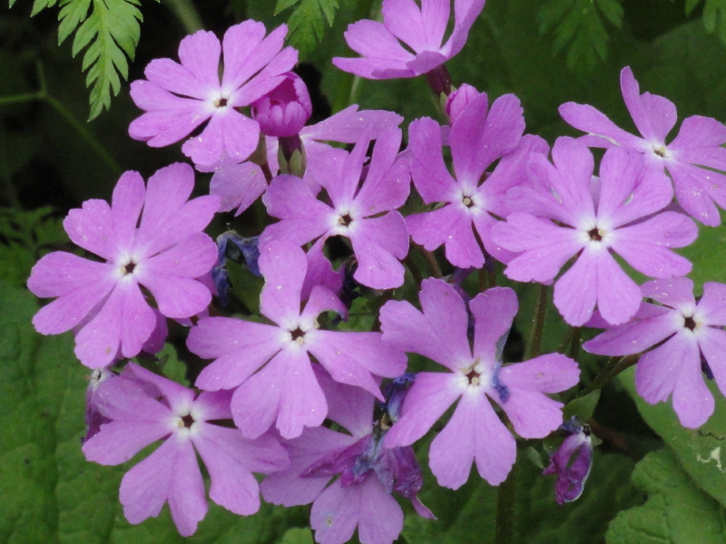 img0005.jpg
