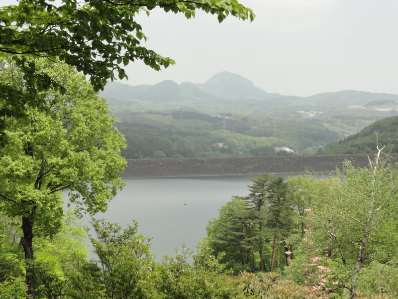 img0007.jpg