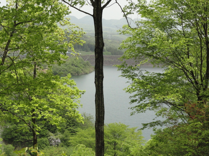 img0009.jpg