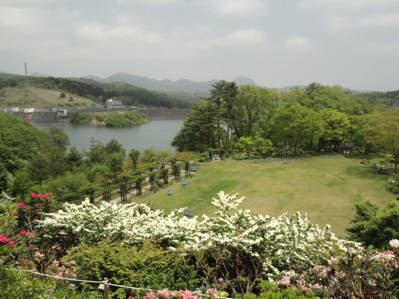 img0014.jpg