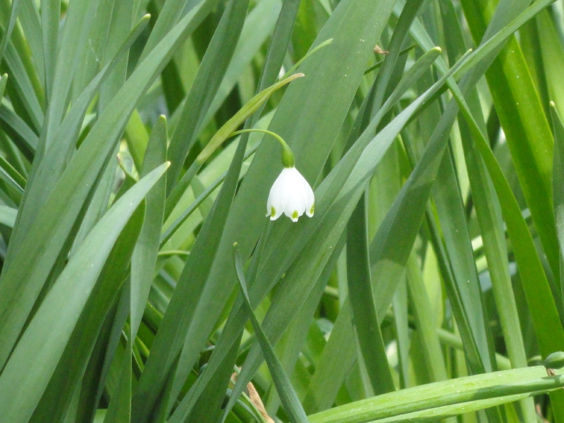 img0015.jpg