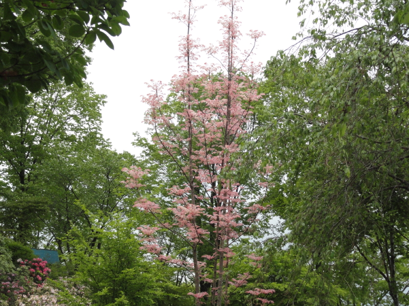 img0017.jpg