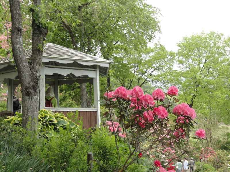 img0019.jpg