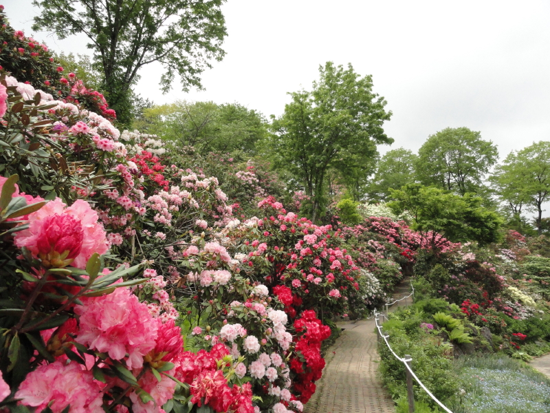 img0026.jpg
