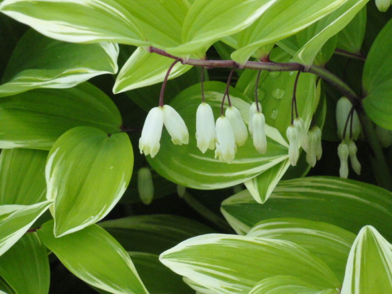 img0058.jpg