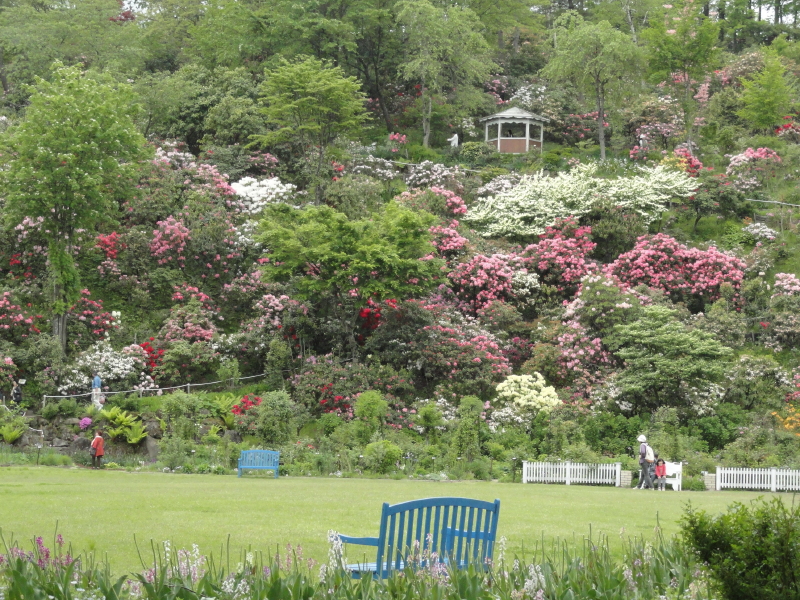 img0063.jpg
