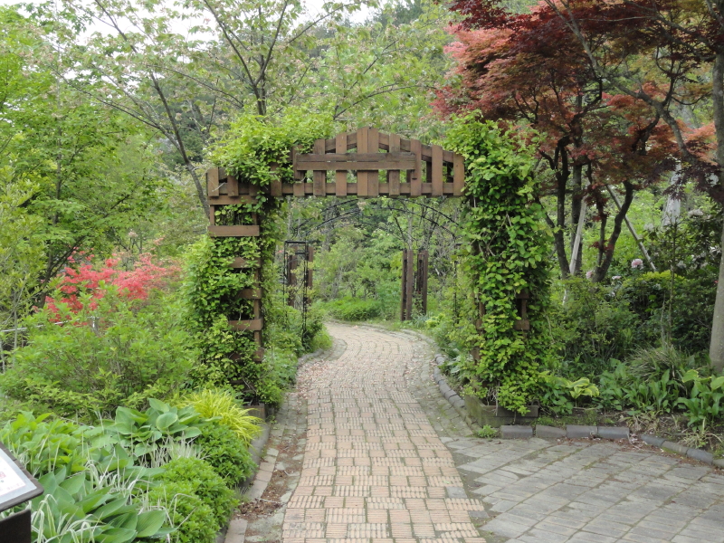 img0067.jpg