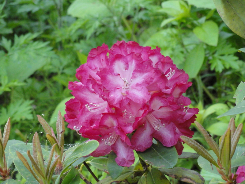 img0070.jpg