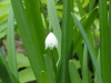 img0006.jpg