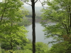 img0009.jpg