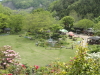 img0011.jpg