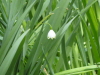 img0015.jpg