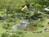 img0016.jpg