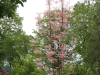 img0018.jpg