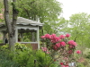 img0019.jpg