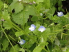 img0020.jpg