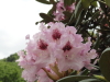 img0023.jpg