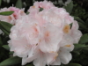 img0024.jpg