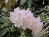img0025.jpg