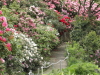img0027.jpg