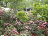 img0037.jpg