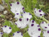 img0040.jpg