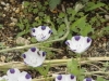 img0042.jpg