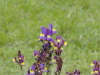 img0045.jpg