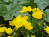 img0048.jpg