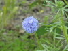 img0050.jpg