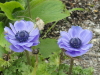 img0052.jpg