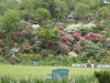 img0063.jpg