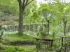 img0064.jpg