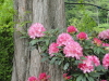 img0068.jpg