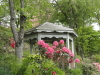 img0071.jpg
