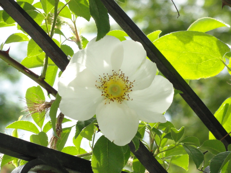 img0008.jpg