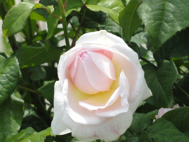 img0037.jpg