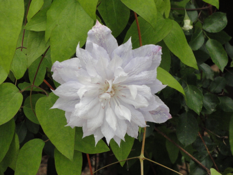 img0055.jpg