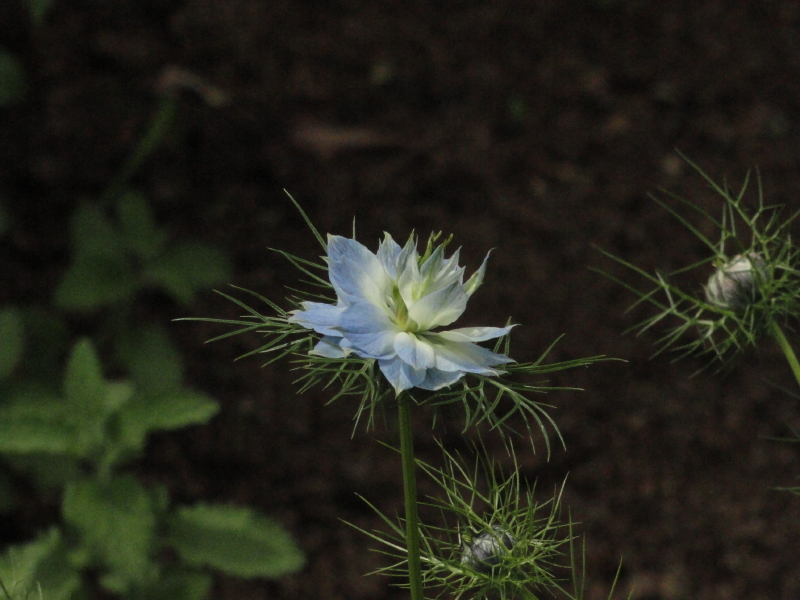 img0056.jpg