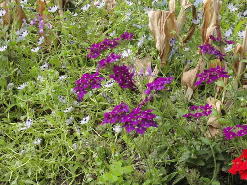 img0067.jpg