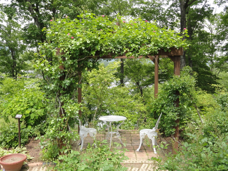 img0074.jpg