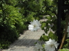 img0003.jpg
