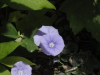 img0006.jpg