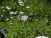 img0018.jpg