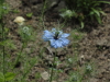 img0024.jpg