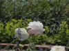 img0034.jpg